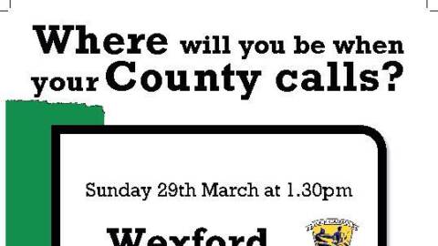 Wexford v Fermanagh this Sunday at 1.30pm