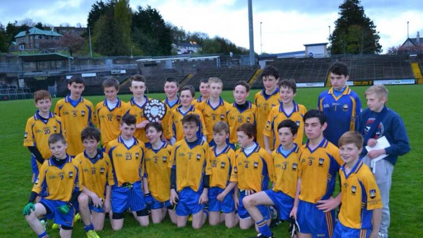 2015 Feile na nOg Final Report