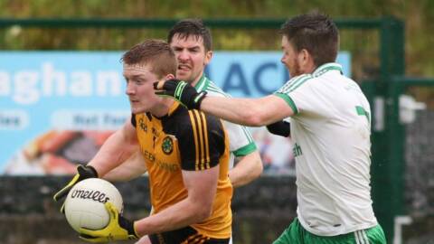 Senior Football League Result, Previews & Fixtures