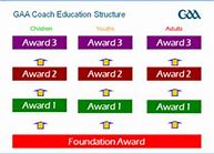 Foundation Dual Coaching Award